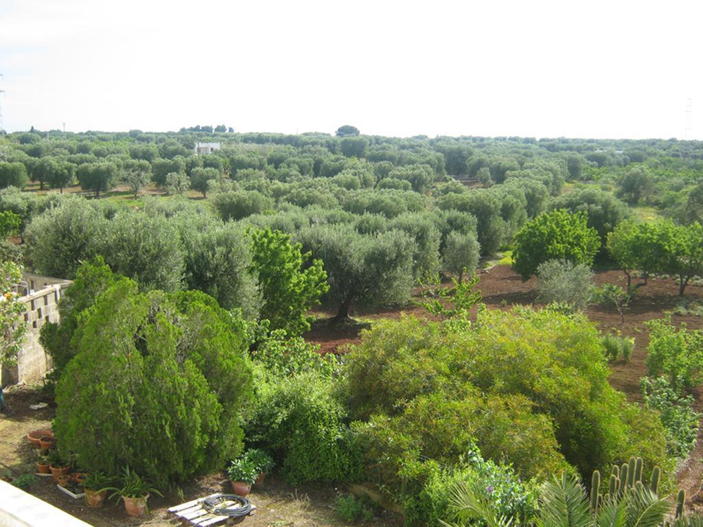 Villa Mediterranea Tra Gli Ulivi Ostuni Room photo